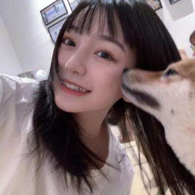 坦克钢铁之心破解版下载